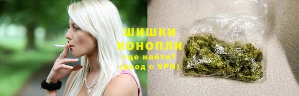 ГАЛЛЮЦИНОГЕННЫЕ ГРИБЫ Алзамай