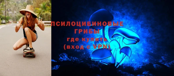 ГАЛЛЮЦИНОГЕННЫЕ ГРИБЫ Алзамай
