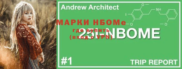 ГАЛЛЮЦИНОГЕННЫЕ ГРИБЫ Алзамай