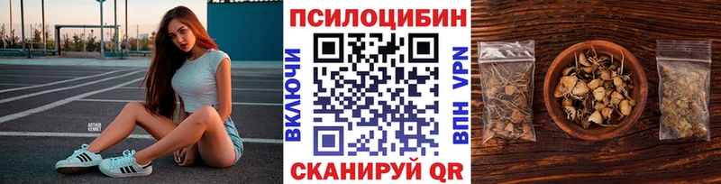Псилоцибиновые грибы Psilocybe Ивангород